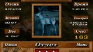 Big Buck Hunter