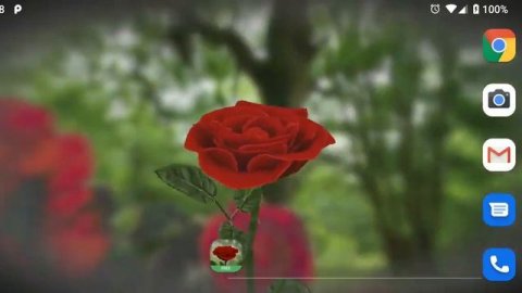 3D Rose Live Wallpaper Pro Free Apk Download