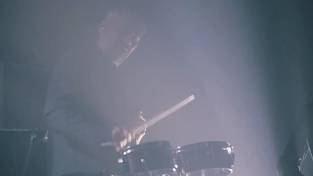 Tesla Boy / Open Door Pro.