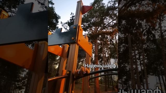 Кекс грустит, тёщин подзатыльник или как мистер Какао поехал в зоопарк