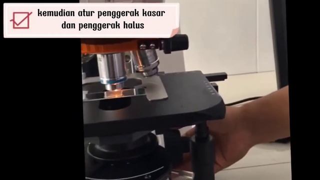 mengamati sampel plankton menggunakan mikroskop