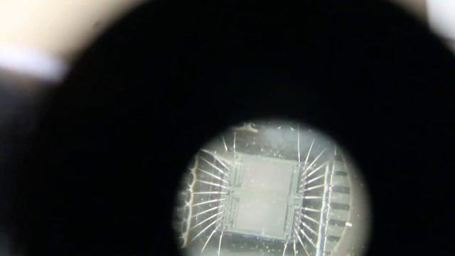 Leica StereoZoom4A Tested
