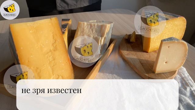 Старый амстердам коровий и олд амстердам козий - дегустация