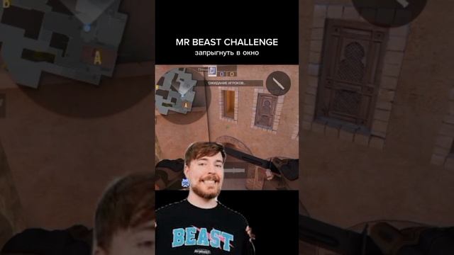 мистер бист challenge