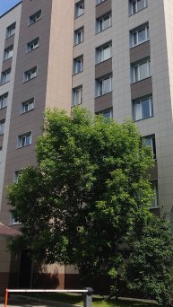 Как в апартаментах площадью 20 кв. метров создать удобное пространство?
Пойдёмте, покажу!