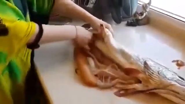 Большая щука а в внутри её жесть что тамужас