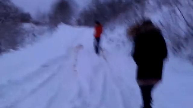 Засадили ауди