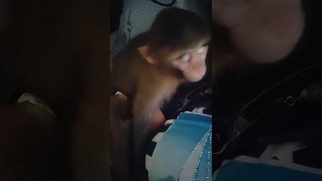 Когда кайфуешь сама от себя.