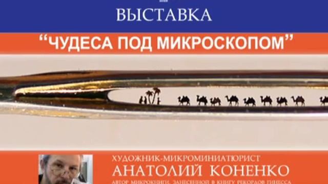 Чудеса Под Микроскопом