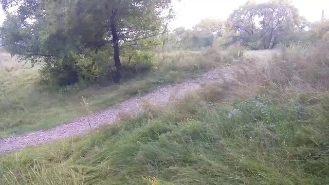 как нужно вваливать на Ирбисе и предостережения