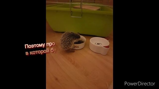 Внимание!!моё обращение к подписчикам
