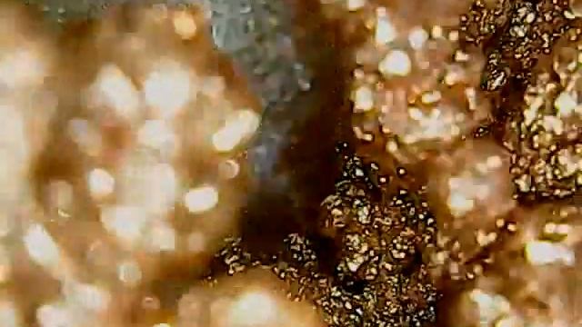 Кристаллическая медь - Crystal copper