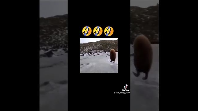 Тупо я на работе