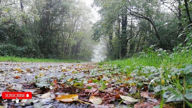 Refresh Music | music for relaxing | Music for Study | DS Music Mantra @YouTube