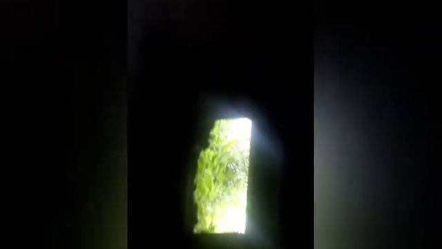 Шок! Нашли заброшенный дзот! , нашли пляж с черным песком !