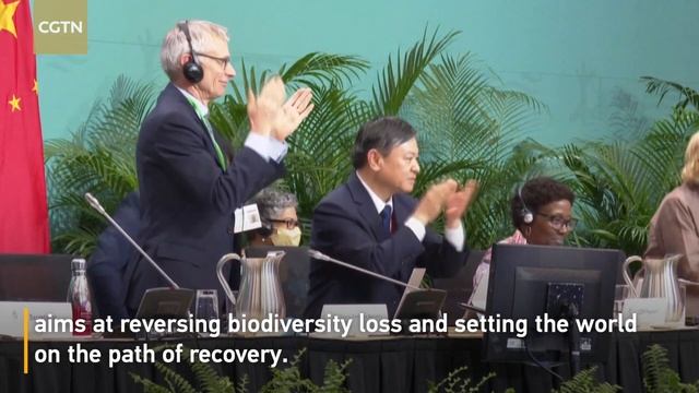 Kunming-Montreal Global Biodiversity Framework adopted at COP15