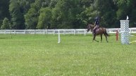 Lexie and Gretta Starter Trial 2014