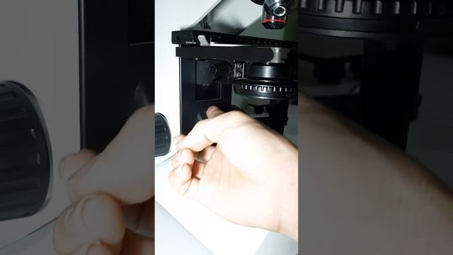 Olympus CX21 bàn di mẫu dơ