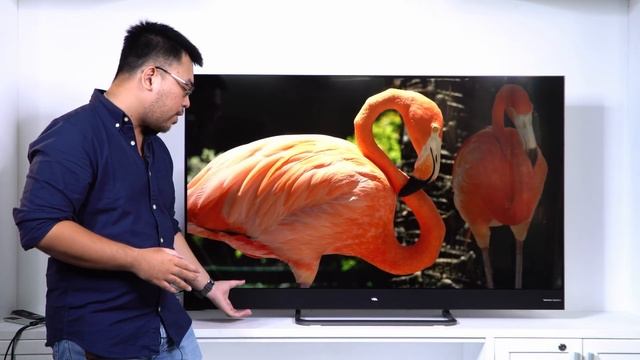 TCL X4: TV QLED tích hợp Android TV
