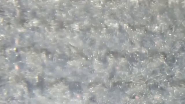 Обычные вещи под увеличением - 2