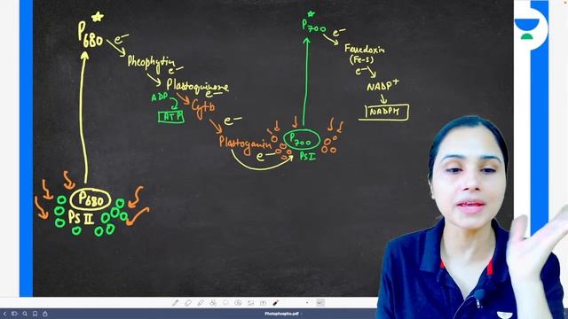 Photophosphorylation | Cyclic & Non Cyclic | 4 Marks पक्के NEET 2022/23 | Dr Gargi Singh