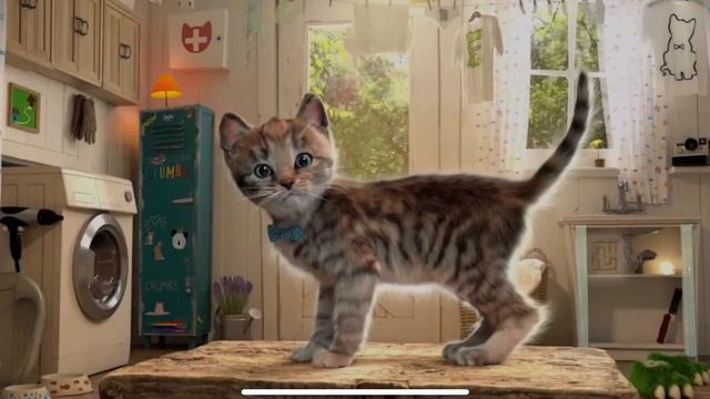 My Favorite Cat Little Kitten - Play Fun Cut Little Kitten & Friends - Care Kids Game #183