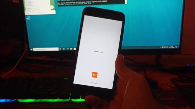 Install DerpFest Android 11 on Mi A1