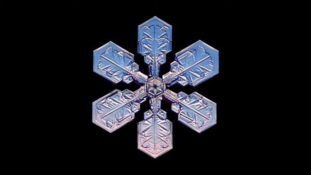 Футаж Снежинки под микроскопом Footage Snowflakes under a microscope 000823