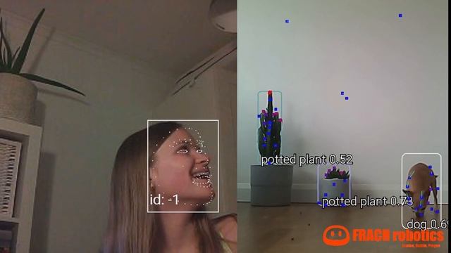 Face and object detection with TensorFlow Lite deep neural networks on Android for robotics