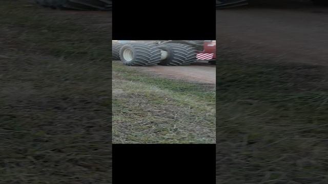 VID_20241019_170150.mp4