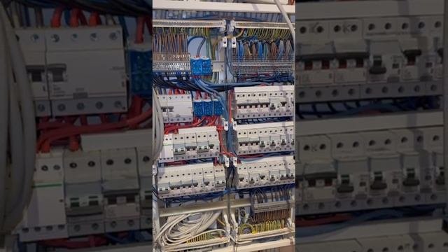 Прекрасный прошёл день.