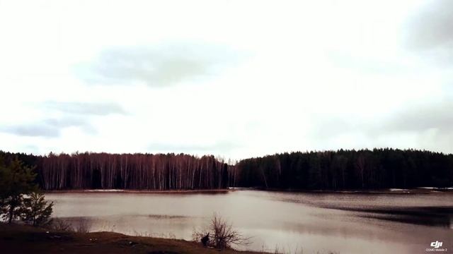 Осмо мобайл 2