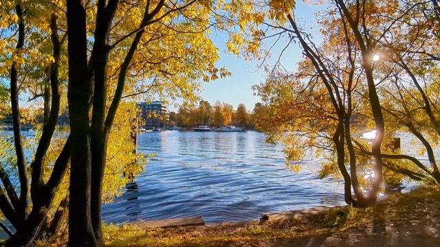 Осенняя прогулка по Елагину острову.