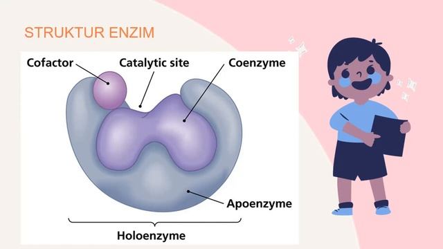 Biologi Kelas XII - Enzim I || Seri Pembelajaran Daring