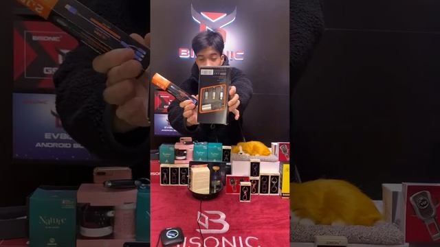 Bisonic - Màn Hình ôtô đa Tiện ích đang Phát Trực Tiếp!