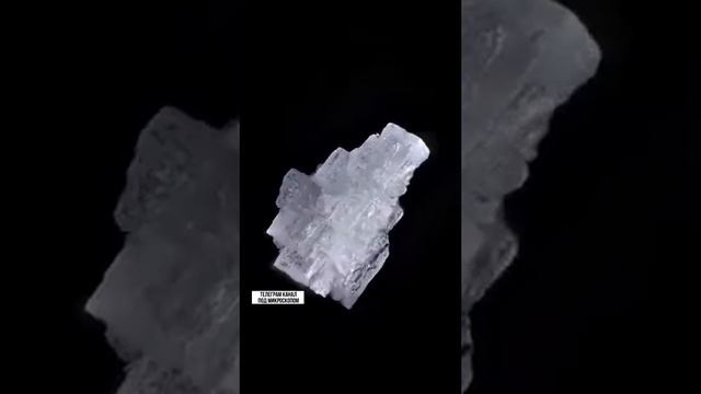 Salt under the microscope 👀