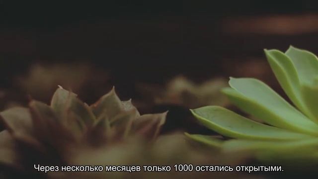 Как работает память клетки