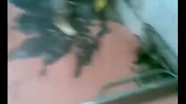 Как делают колбасу)