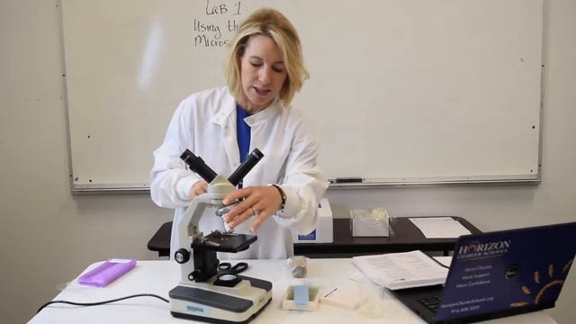 Lab 1 - Using a Microscope