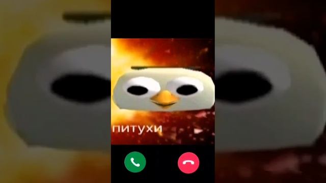 питухи