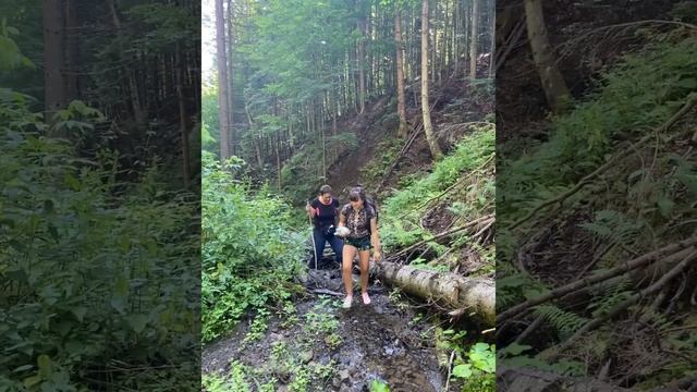 В село Яблуниця через гору Магура сходили.... казка... частина 1