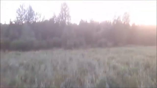 Добыча кабанчика 2021,с прицелом Диджекс N455