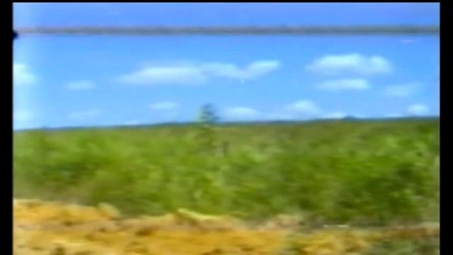 SLN 50 TCE GRASS MOWER AND EXCAVATOR TRACTOR