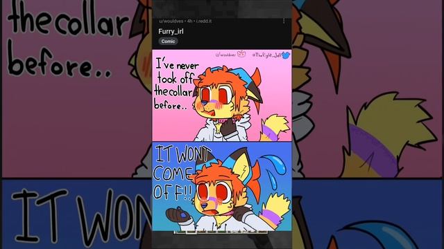 r/furry_irl v3 #furry #furryfandom #furry_irl #furrymemes