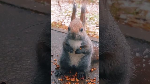 Берегите природу! #белкиндом #природа