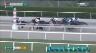 FIERCENESS dominates in the Grade 1 Florida Derby!