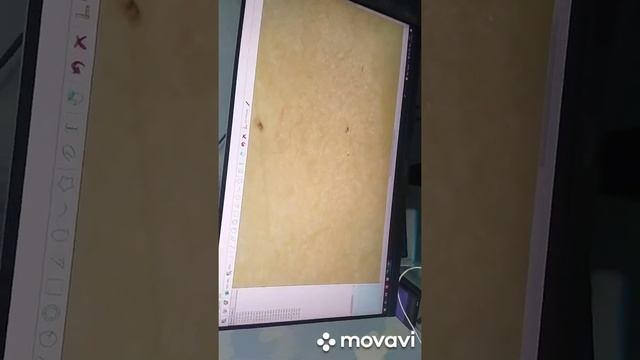 я купил микроскоп  увеличить 1600 раз