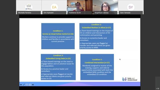 CDI Safe and Understood Presentation