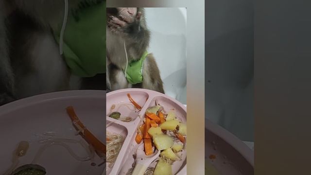 Вика у нас избирательная в еде