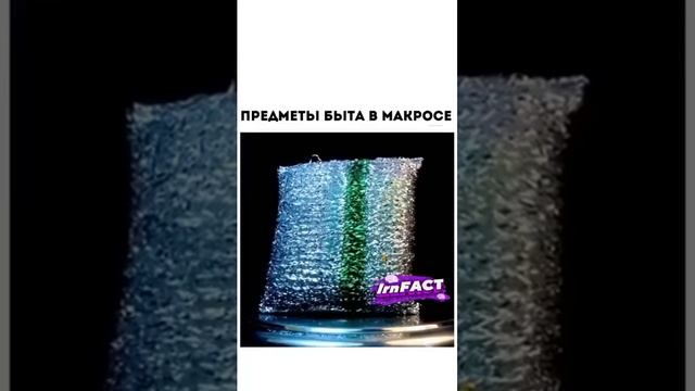 ПРЕДМЕТЫ ПОД МИКРОСКОПОМ